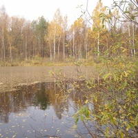 "Моховое болото" в Кержемке