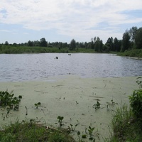 Кунерский пруд