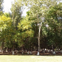 городской парк Кизляра