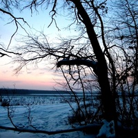 Пейзаж на окраине Дорогобужино