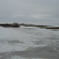 Ледяное поле