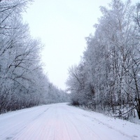 Дорога в село Богородицкое