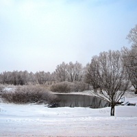 Природа села Богословка