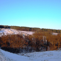 Природа села Коньшино