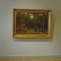 Русский музей. Картина Шишкина "Корабельная роща".