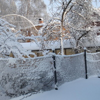 зима в Купавне