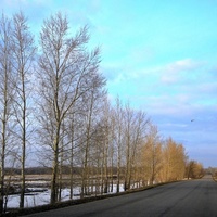 Дорога в село Красное