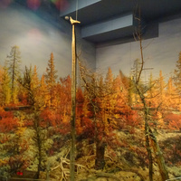 Музей истории религии