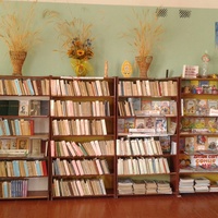 Пилиповицька сільська бібліотека