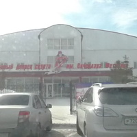 Ледовый дворец спорта им Фетисова