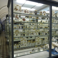 Зоологический музей