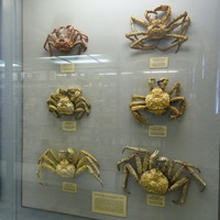 Зоологический музей