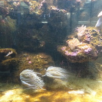 Зоологический музей