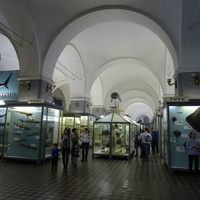 Зоологический музей