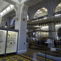 Зоологический музей