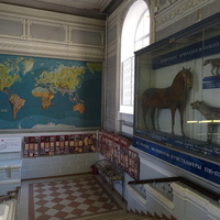 Зоологический музей