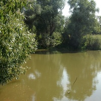 Река Щелинка
