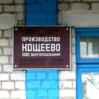 Облик села Кощеево