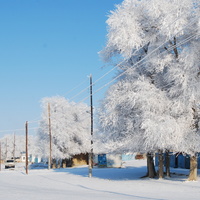 Зима в Абае