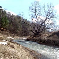 река Скнига весной