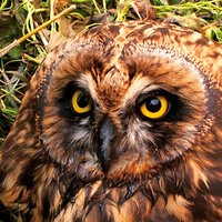 Национальный Парк Зюраткуль. Урал