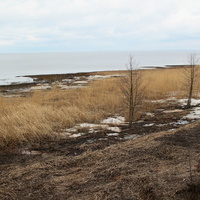 Берег Финского залива рядом с Лебяжьим