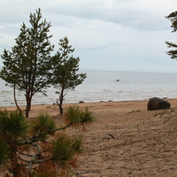 Берег Финского залива рядом с Сосновым Бором