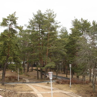 Сосновый Бор