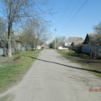 Синельниково.Цветущая улица Воровского.Вид на восток от Харьковской.