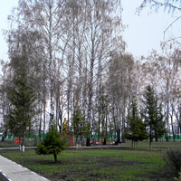 Парк села Гостищево