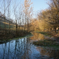 Речка Яланка.