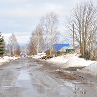 Вознесенское. улица Зелёная.