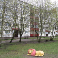 Нарва. Район Солдино, пр. Героев