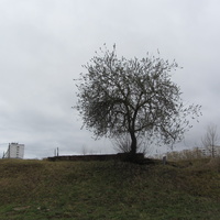 Нарва, ул. Aasa