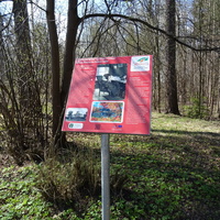 Музей "Дачная столица"