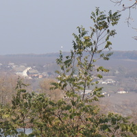 Вид на Кульбачивку.