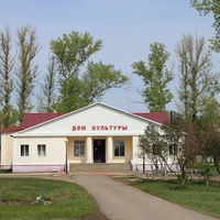 В селе Новопетровка