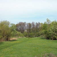 Природа села  Новопетровка