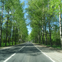 Улица Садовая