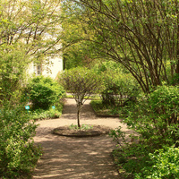 Собственный сад императрицы Марии Федоровны