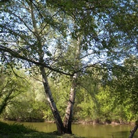 Природа села  Новоивановка