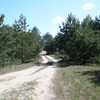 Ботово, дорога вдоль берега