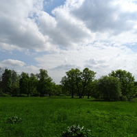 Александровский парк. Май-2016.