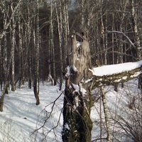 У МКАДа, зима 2001 год.