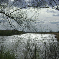 Река Большой Иргиз в Березово