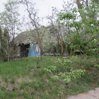 Поповкаэ Дом в зарослях.