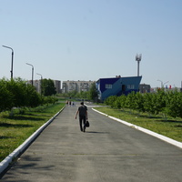 аллея к дворцу спорта Газпрома.