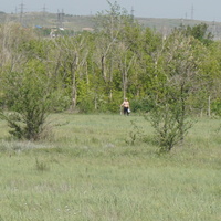 Защитная зелёная зона района 3с.