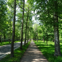 Парк "Тихий отдых"