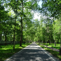 Парк "Тихий отдых"